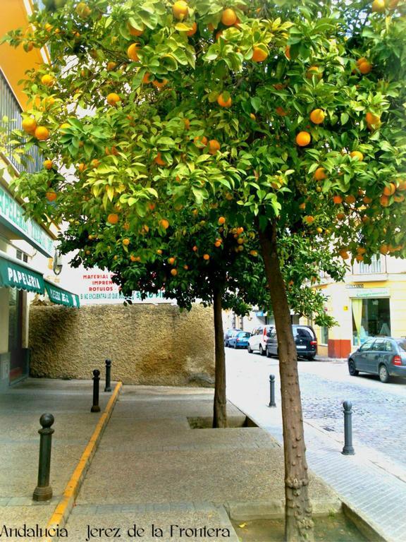 Al Andalus Jerez Hotel เฮเรซ เด ลาฟรอนเตรา ภายนอก รูปภาพ